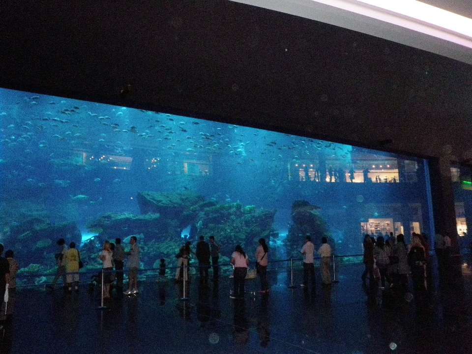 Dubai Mall Aquarium