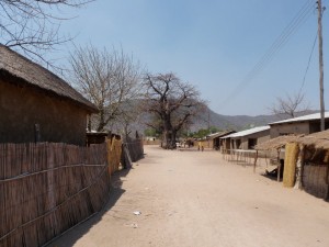 Main Street with baobab